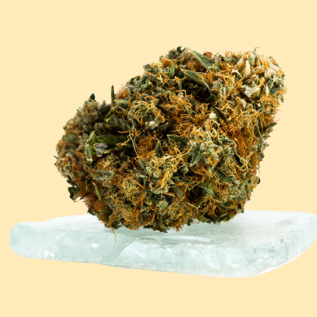 Close-up of a cannabis bud with rich green and orange hues, displayed on a clear glass surface against a soft beige background, showcasing its texture and trichomes.