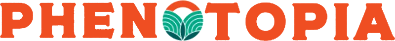 Logo featuring a green star-like shape with eight points.
